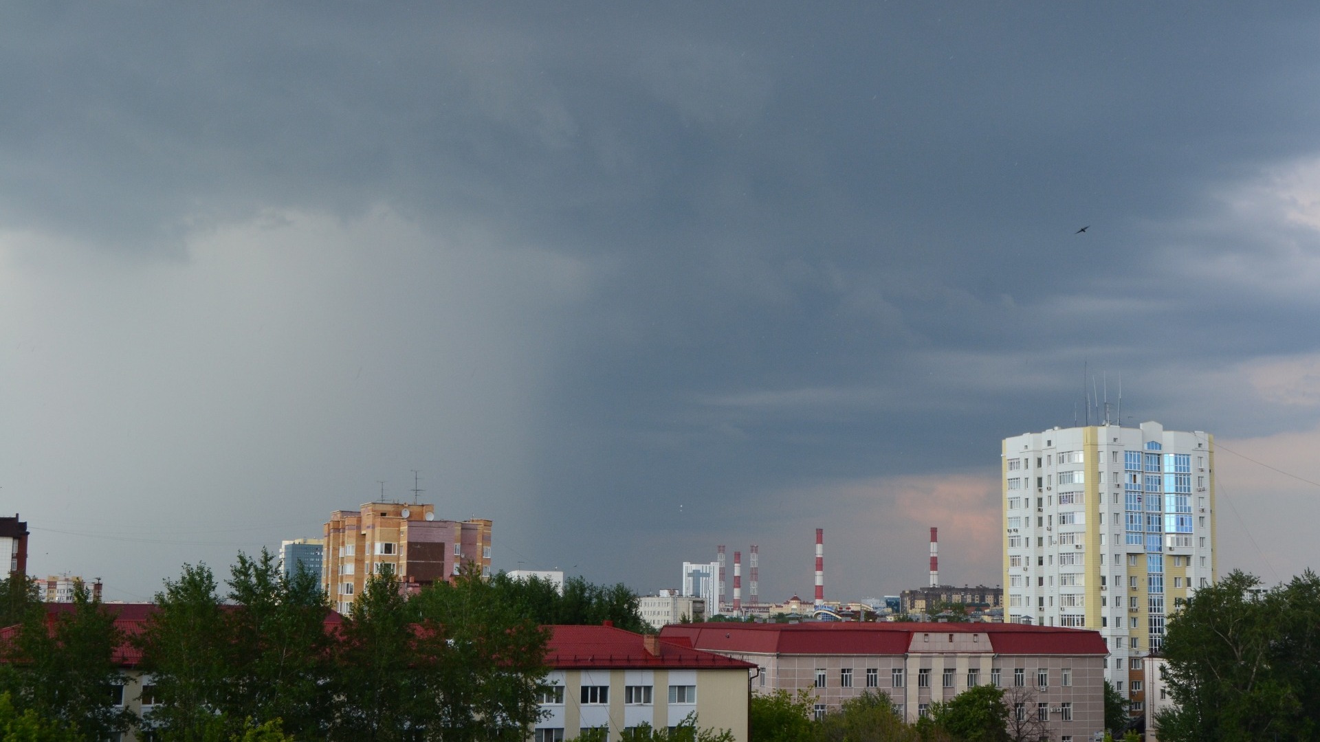 Афроамериканцев не пустили в бар в Екатеринбурге, а в области ждут дожди и грозы