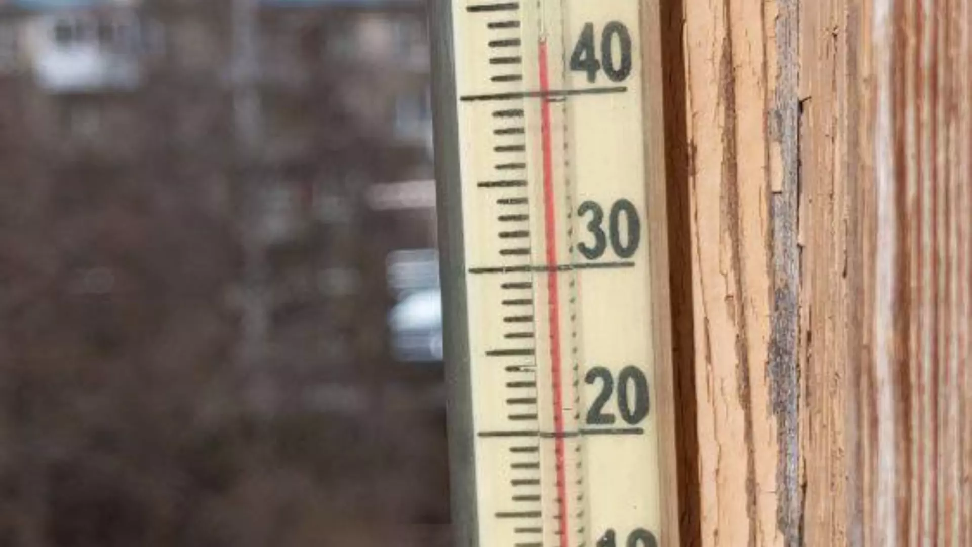 Аномально жаркая погода в Екатеринбурге превзошла 42-летний рекорд