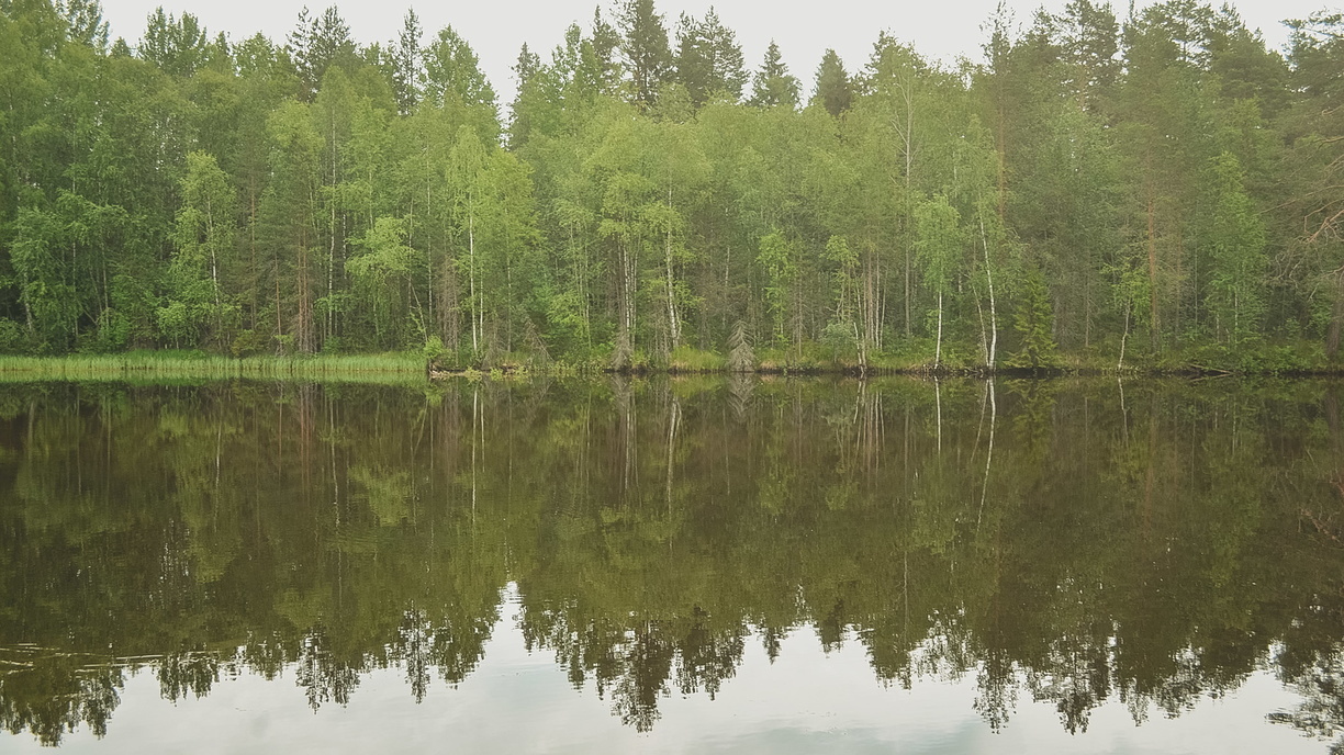Куйвашев про Черноисточинский пруд: «Мы предотвратили экологическую катастрофу»