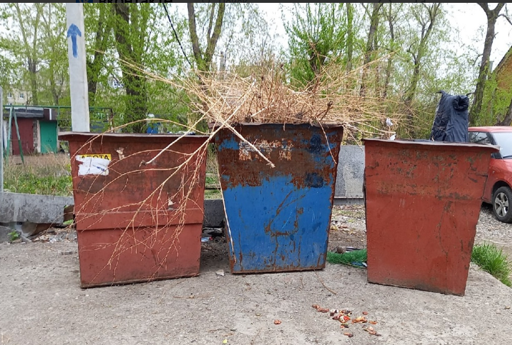 Тагильчане сваливают ветки в мусорные баки и рядом с контейнерными площадками