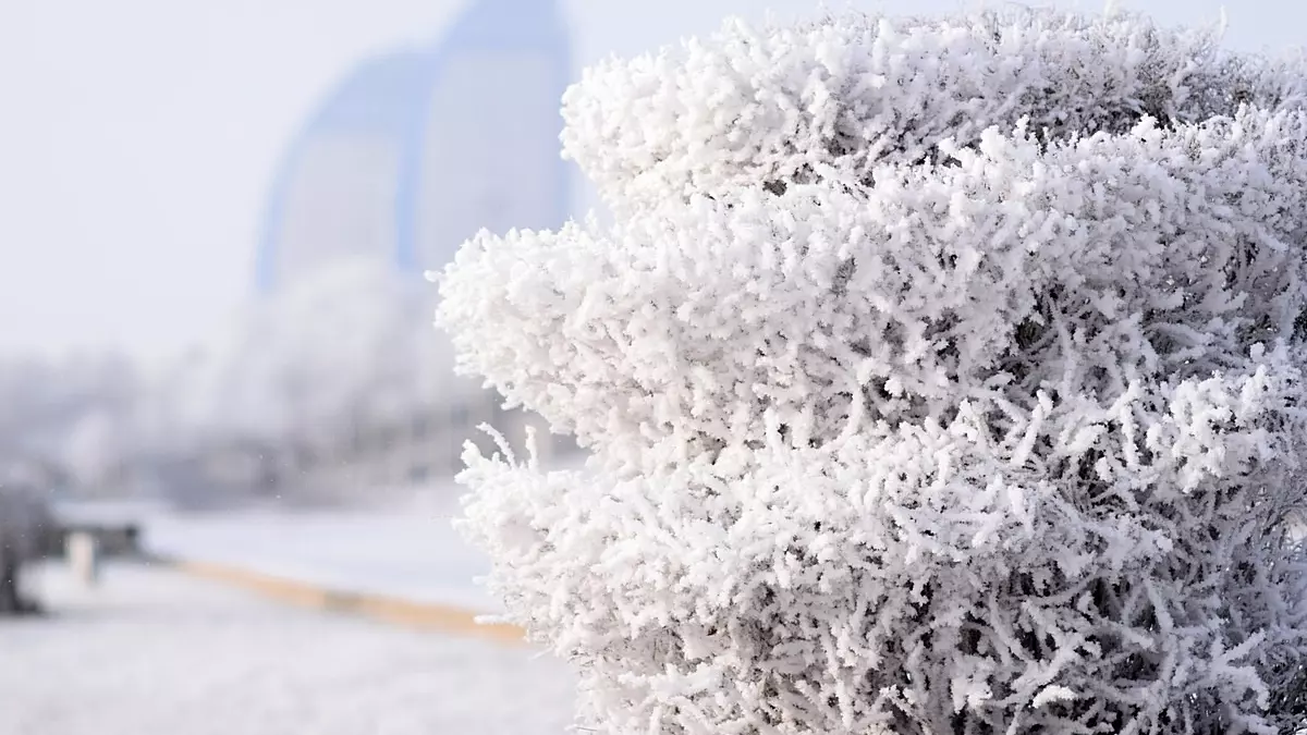 В Свердловской области синоптики обещают 25-градусный мороз
