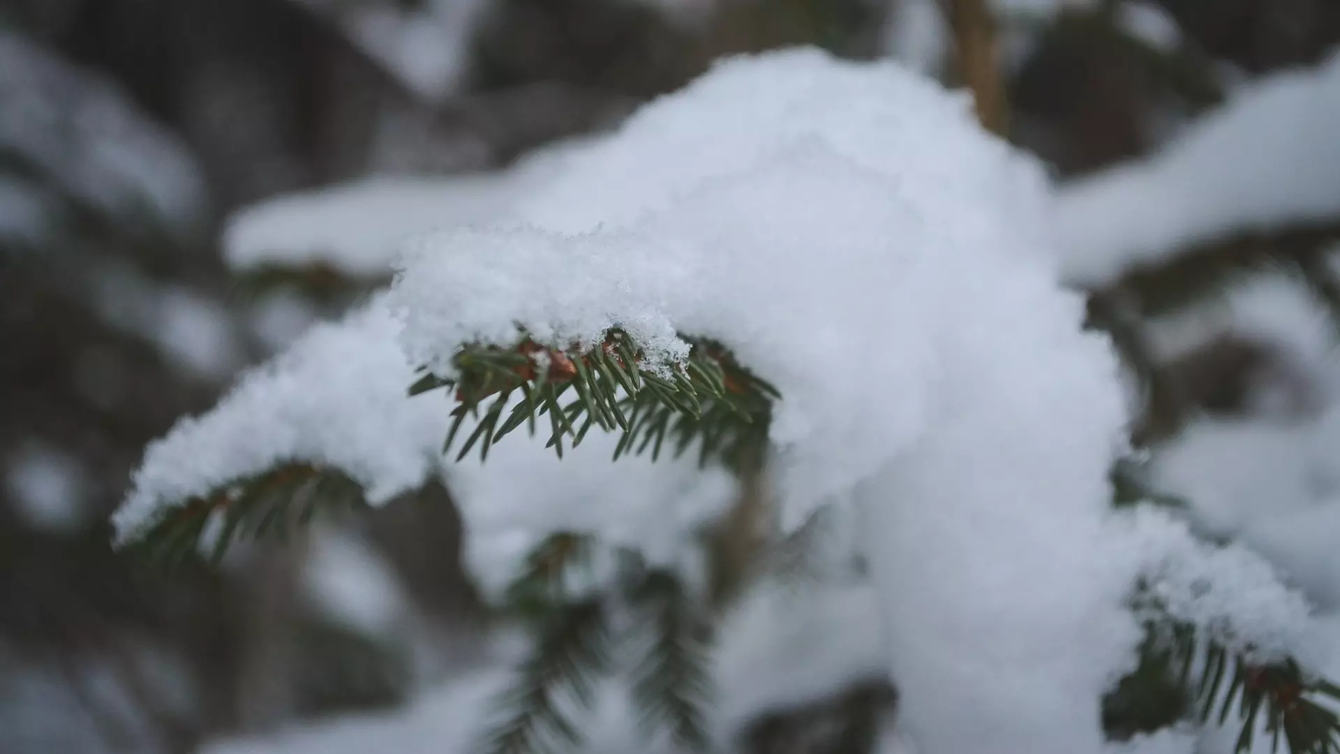 Таксист нашел замерзающую девочку-подростка на лесной дороге в Новоуральске