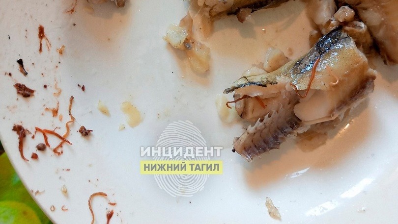Кишащую червями рыбу купила в «Магните» жительница Нижнего Тагила