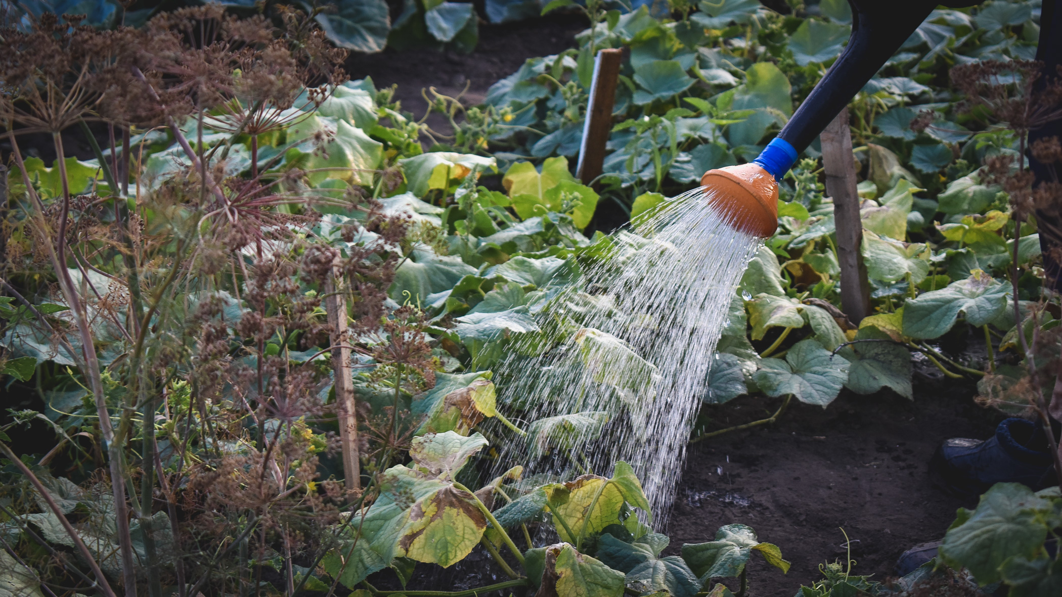 Как оплачивают летний водопровод дачники и жители частных домов в Нижнем Тагиле
