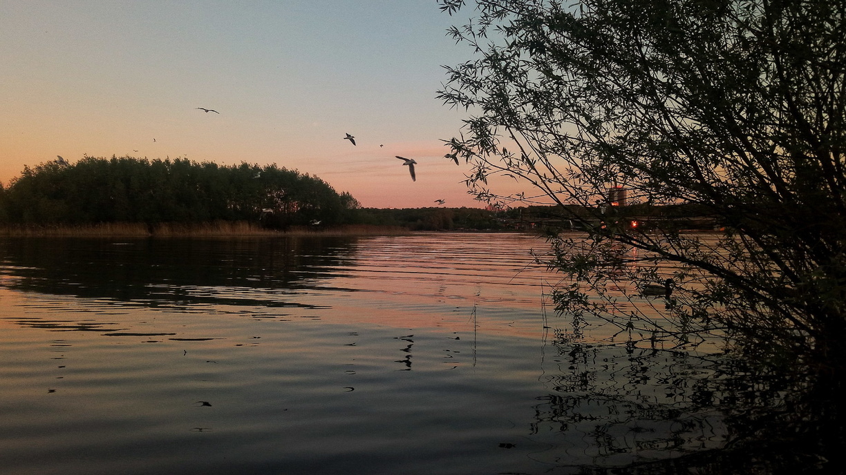 «Масляные пятна» появились на реке Патрушиха в Екатеринбурге