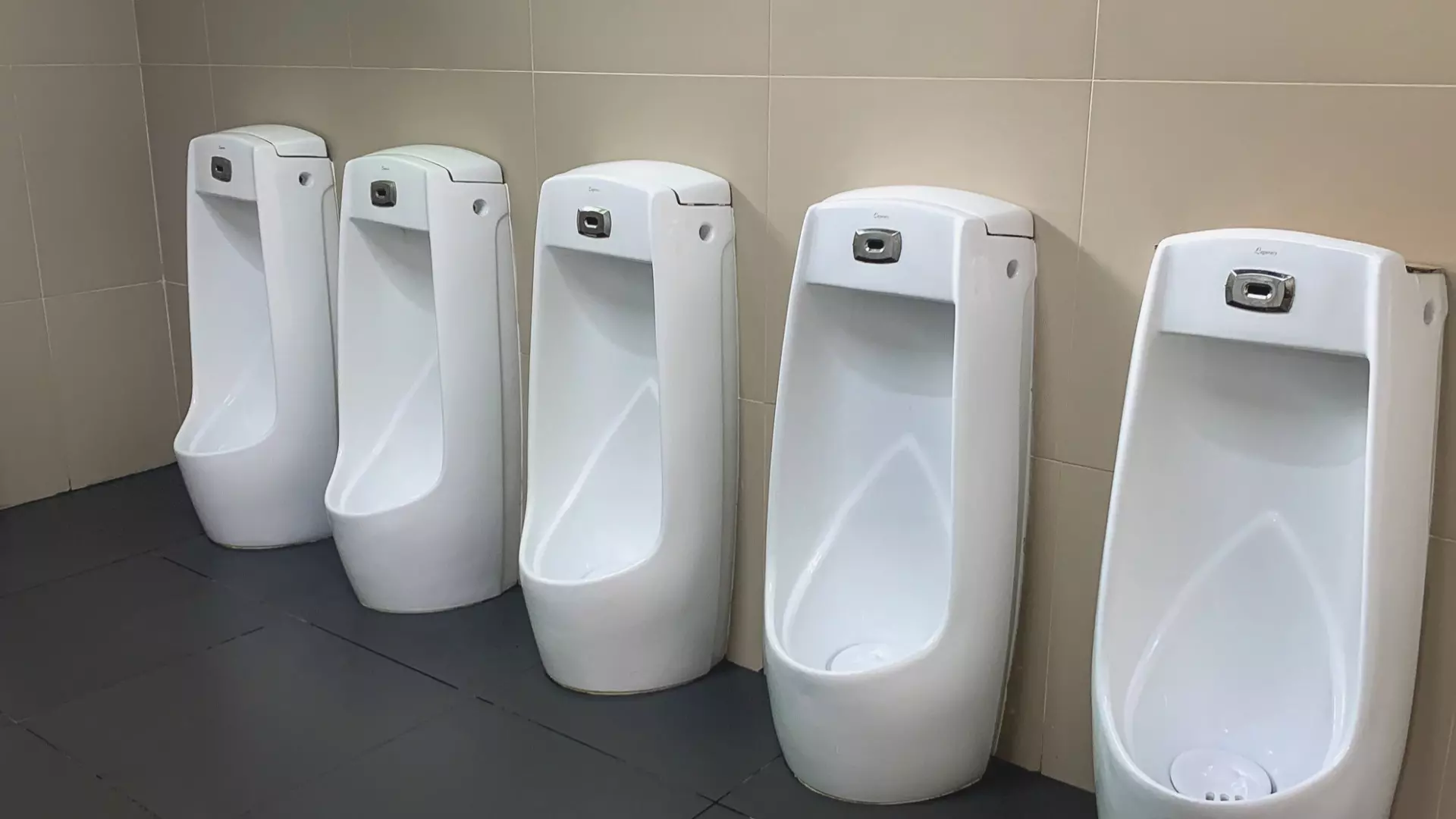 В гимназии Екатеринбурга появились перегородки в мужском туалете