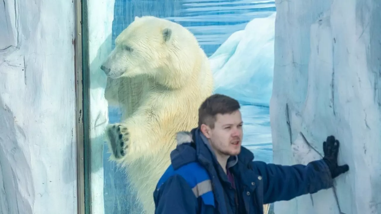 В Екатеринбурге медведицу накормили сытным обедом