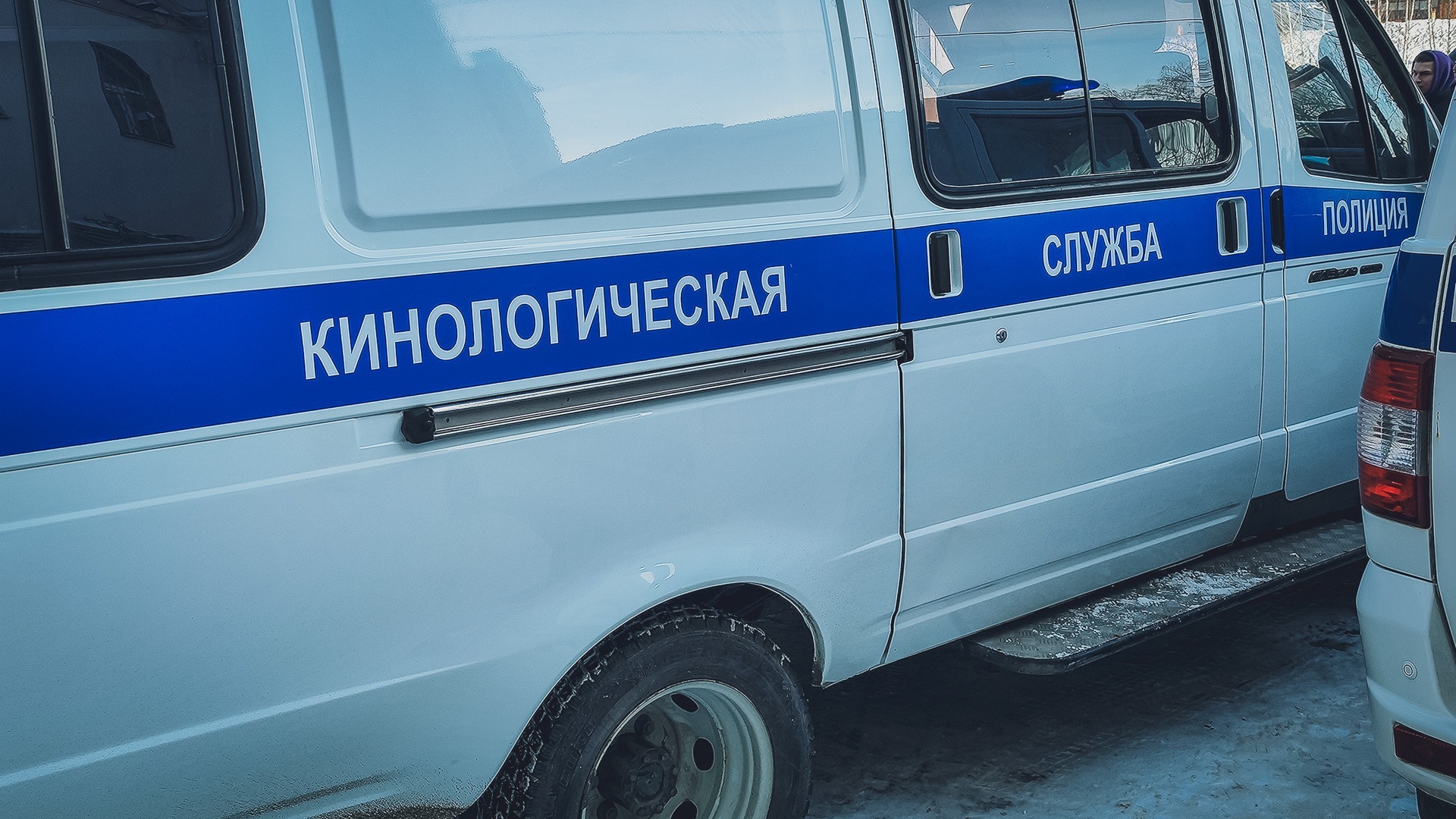 В поисковом отряде показали место, где нашли погибшего мальчика из Екатеринбурга