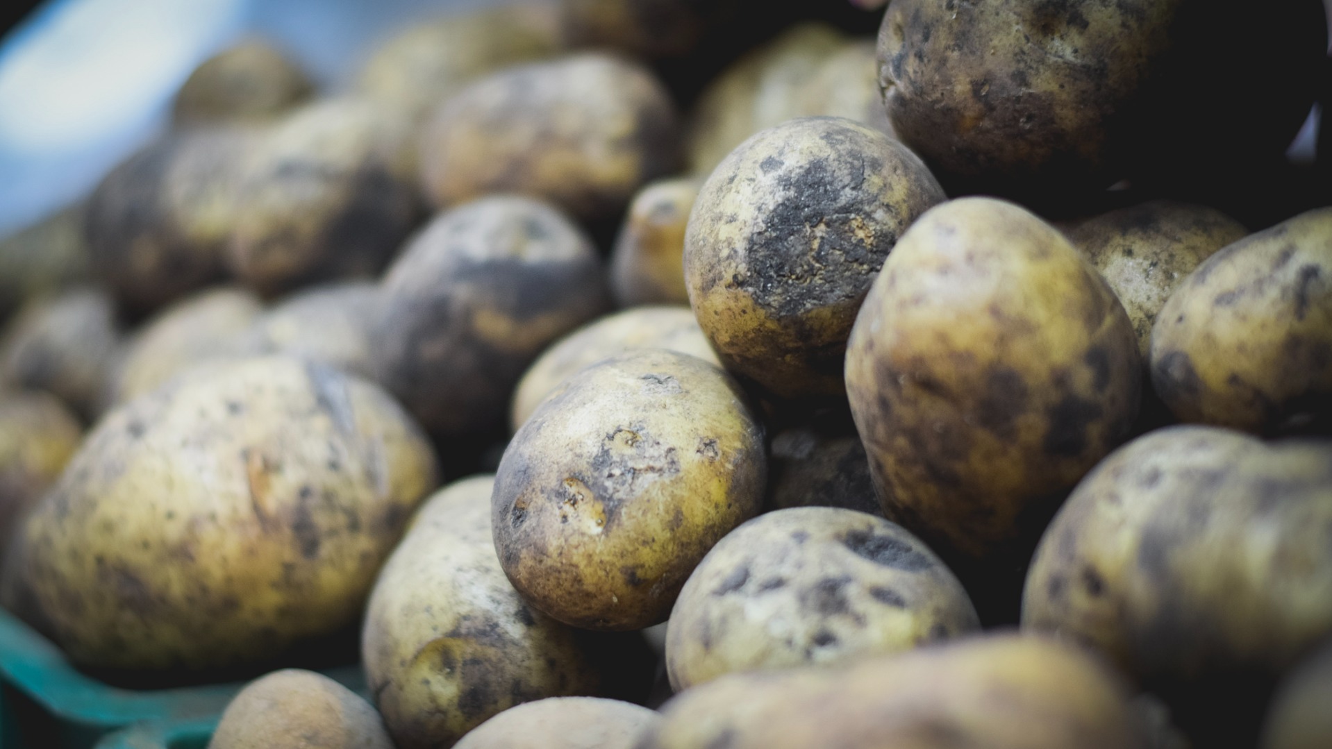 Больница в Нижнем Тагиле хочет купить картошку по цене на 25% выше средней