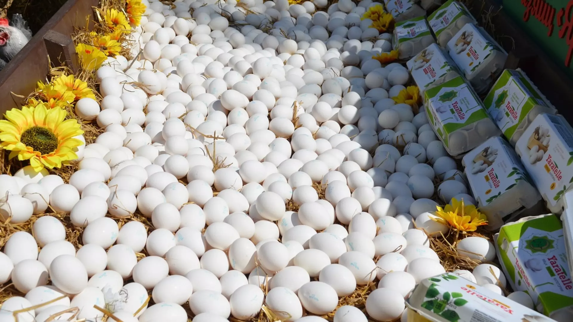 В Свердловской области снова подорожали яйца