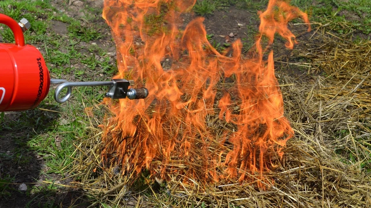 Площадь лесных пожаров в Свердловской области сократилась на 73 га