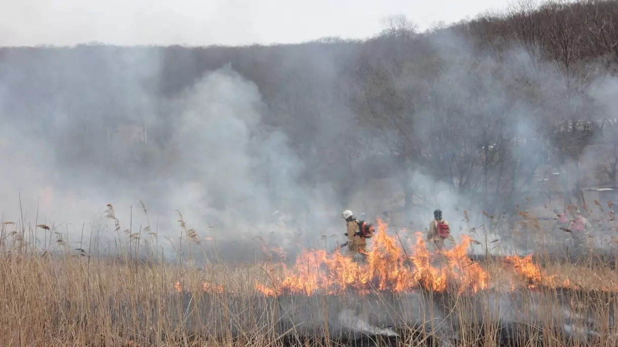 Последний лесной пожар потушили в Свердловской области