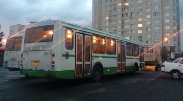 Тарифы на проезд в общественном транспорте Екатеринбурга пересмотрят 31 января