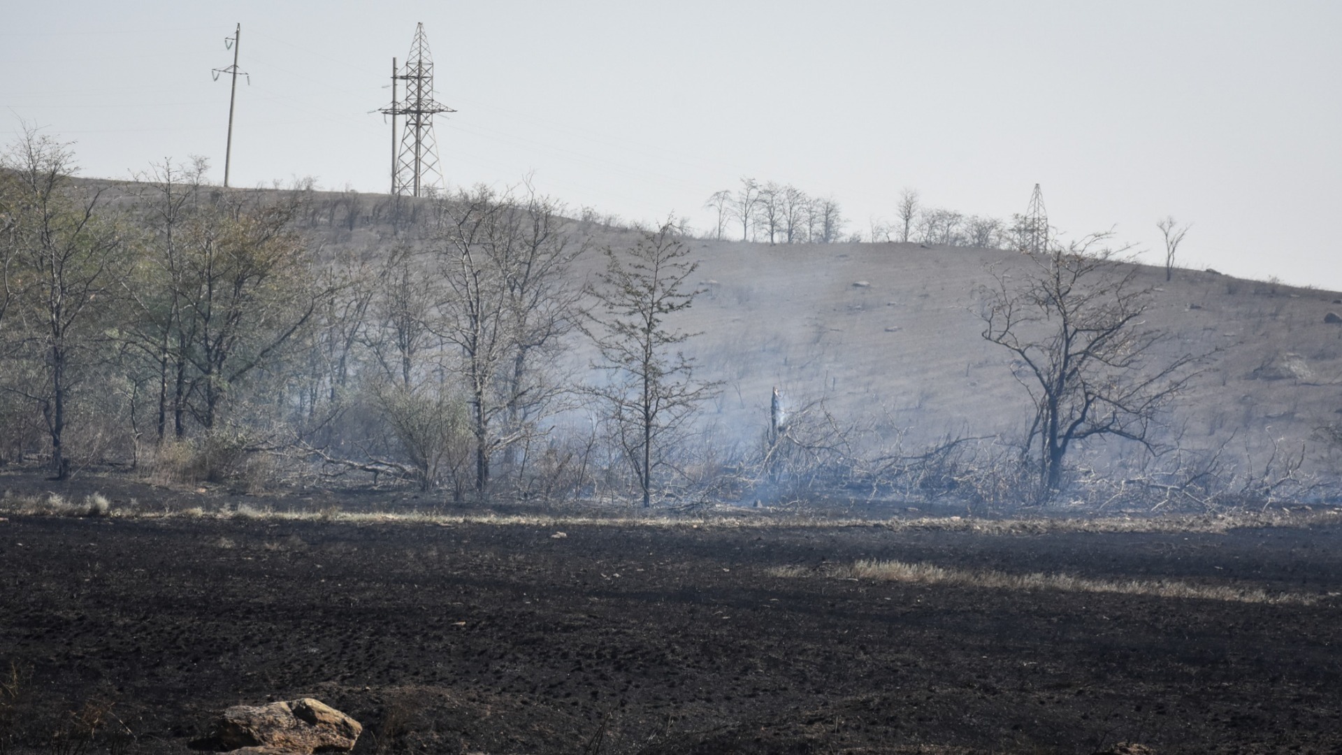 13 лесных пожаров продолжают полыхать в Свердловской области