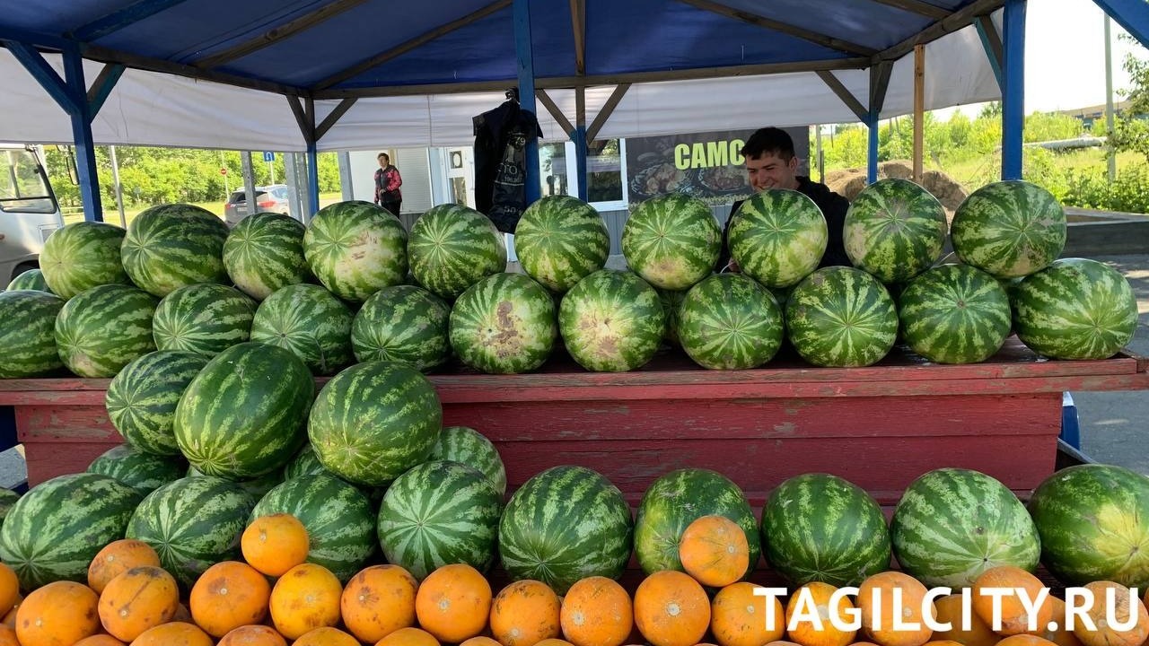 40 руб./кг арбуза в палатке у Гальянского рынка