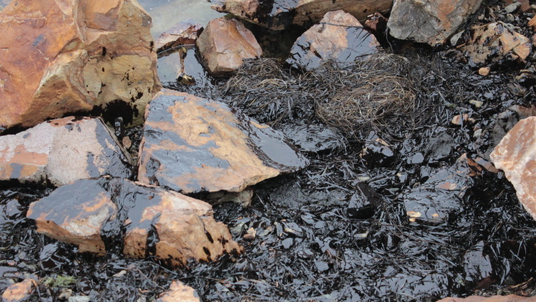 2,2 млн выделено на оценку экологического вреда отвала Южно-Ольховской шахты в Тагиле