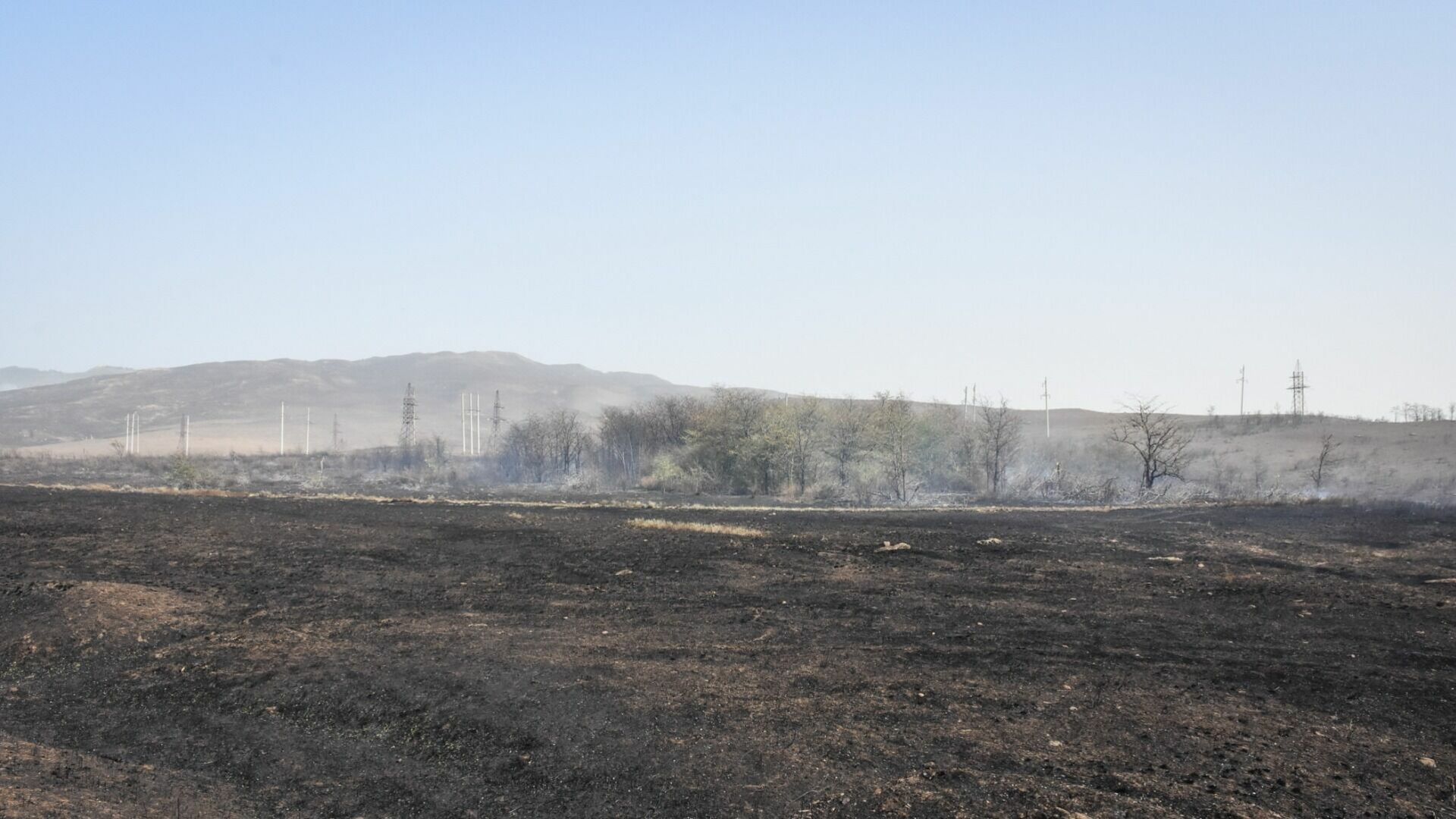 Лесные пожары в Свердловской области тушат более тысячи человек