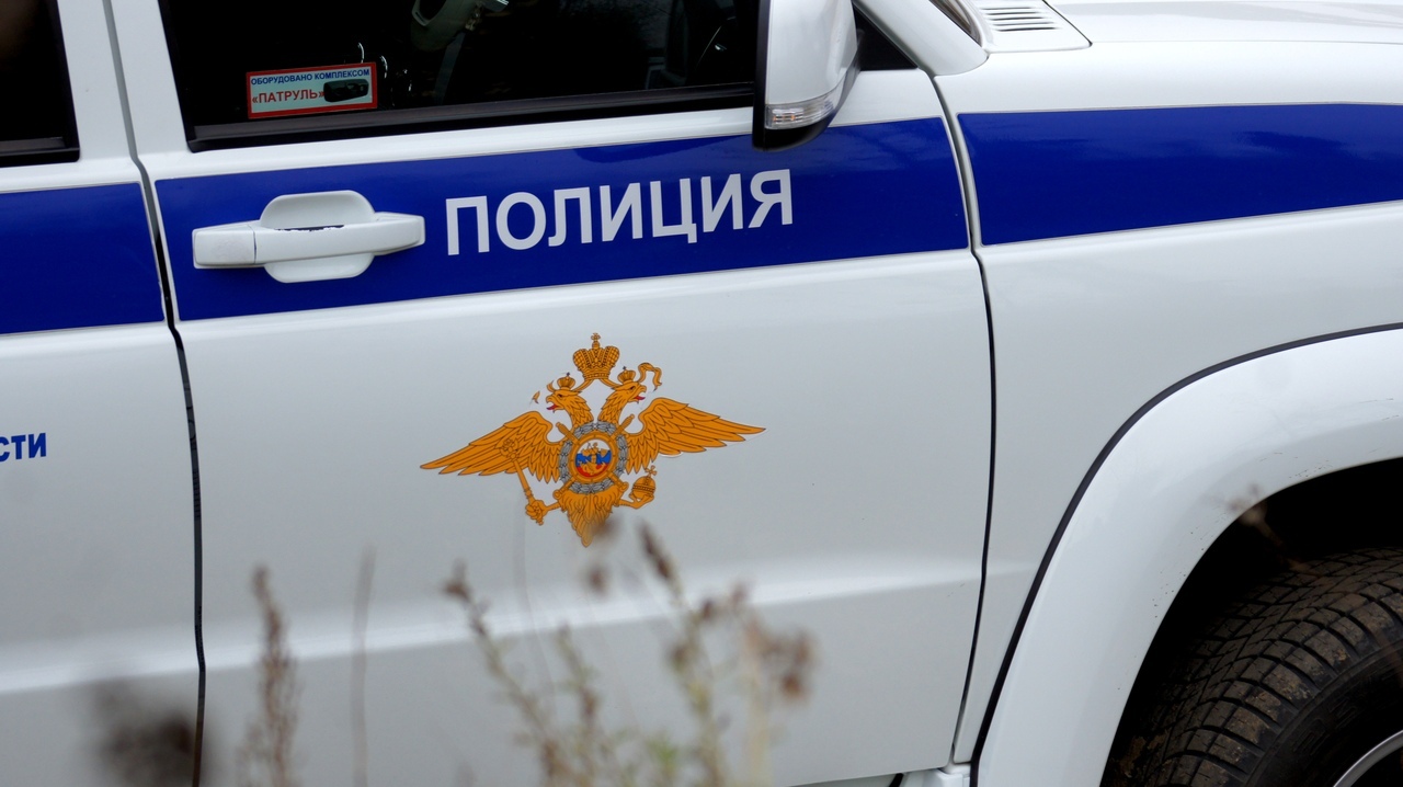 Избившая кошку пистолетом девочка в Екатеринбурге останется безнаказанной