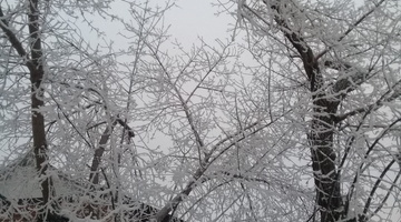 В Свердловской области ударят 20-градусные морозы
