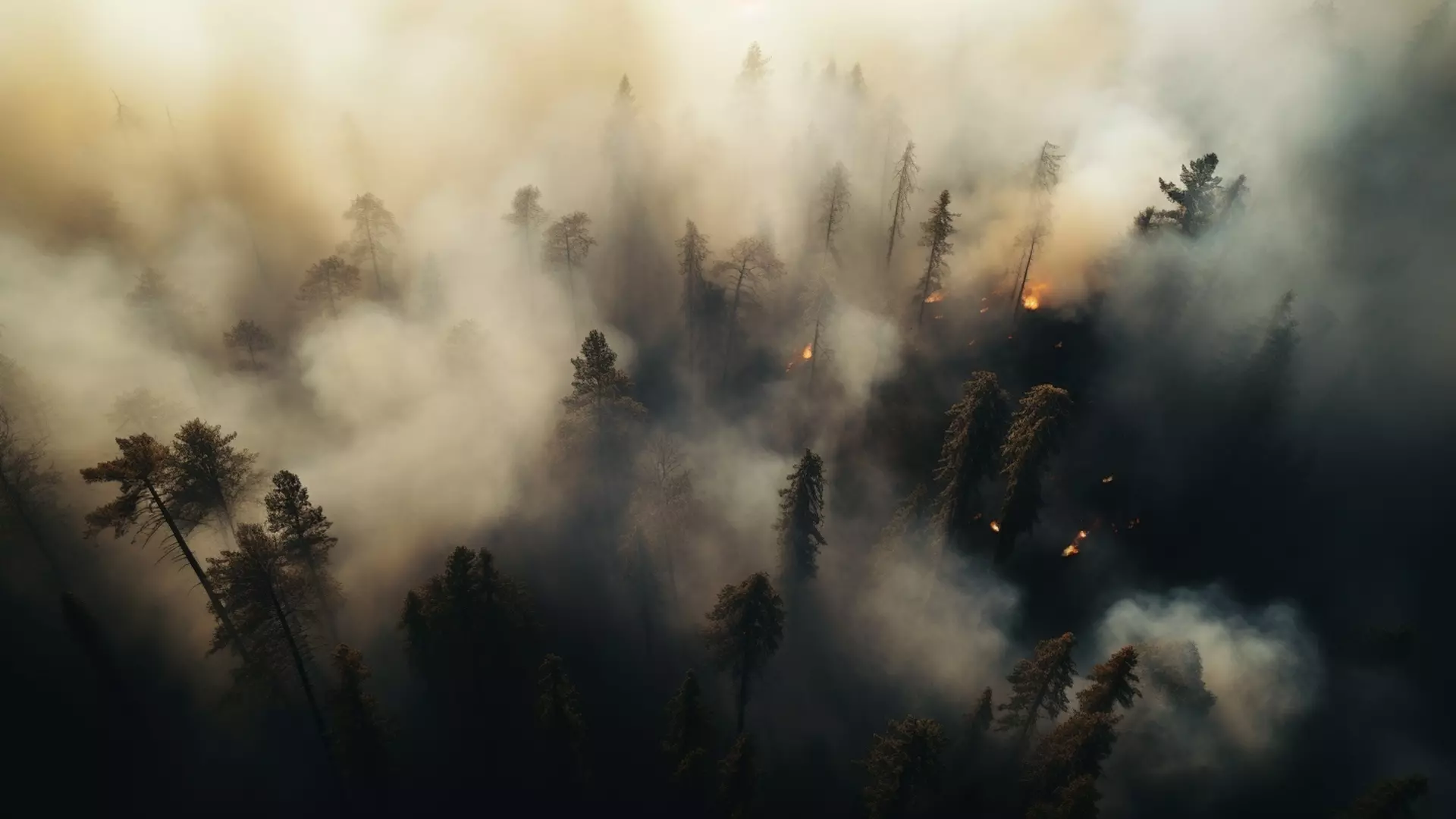 Найден ответственный за борьбу с пожарами в Свердловской области