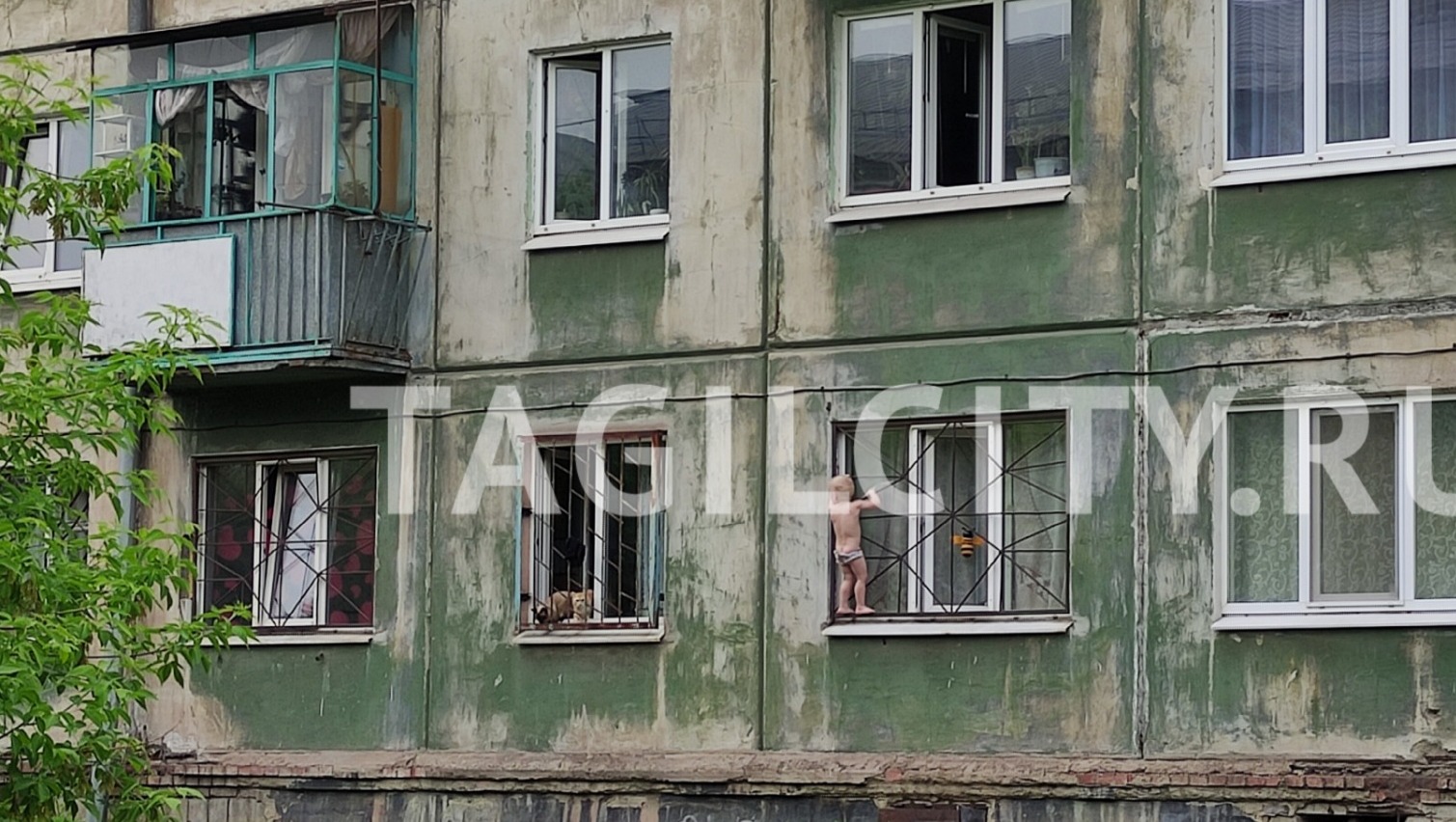 Маленький ребенок вылез из окна и держался за оконную решетку в Нижнем Тагиле