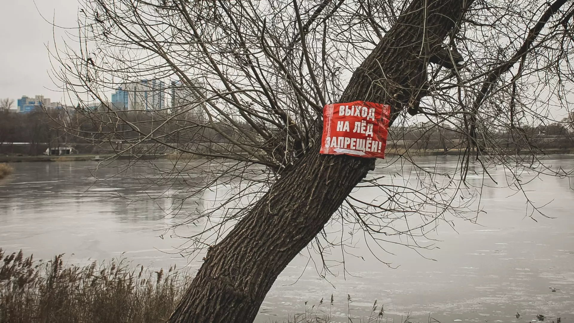 Прохожие заметили двух подростков гуляющими на Лебяжьем озере под Екатеринбургом