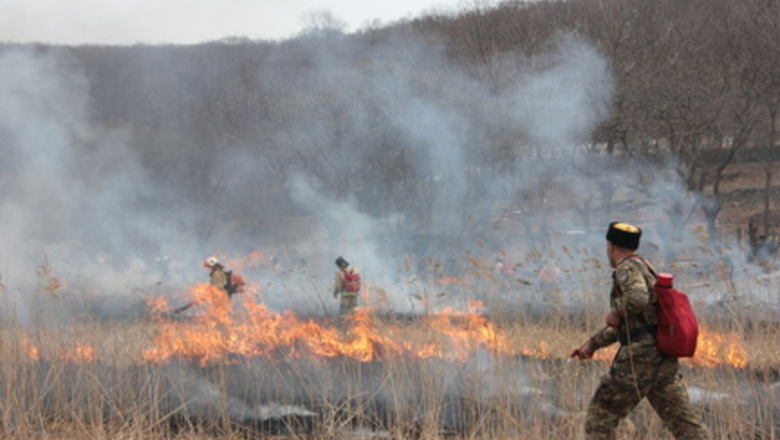 Подготовка к сезону лесных и торфяных пожаров началась в Свердловской области