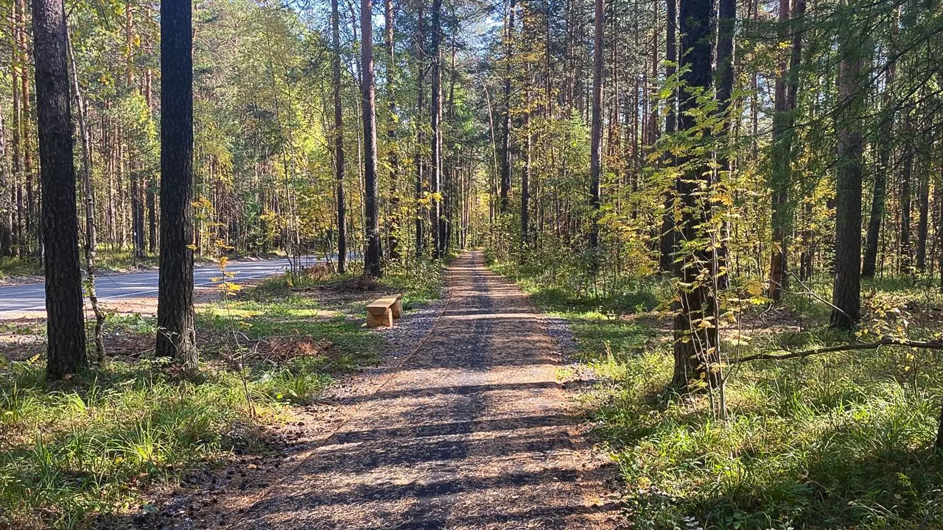Жителям Екатеринбурга запретят ходить в лес и жарить шашлыки