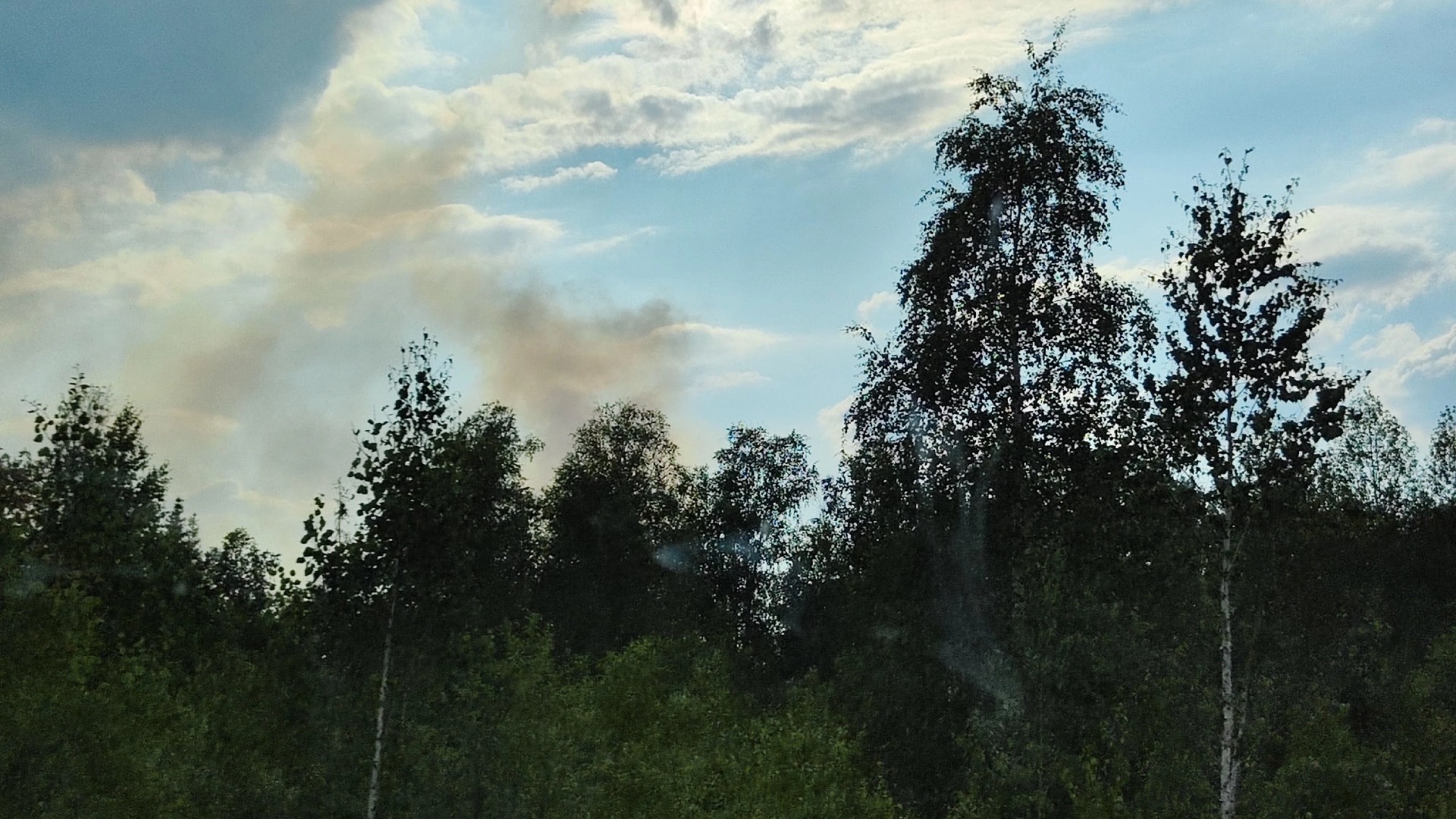 Рядом с Нижним Тагилом и Невьянском снова горит лес
