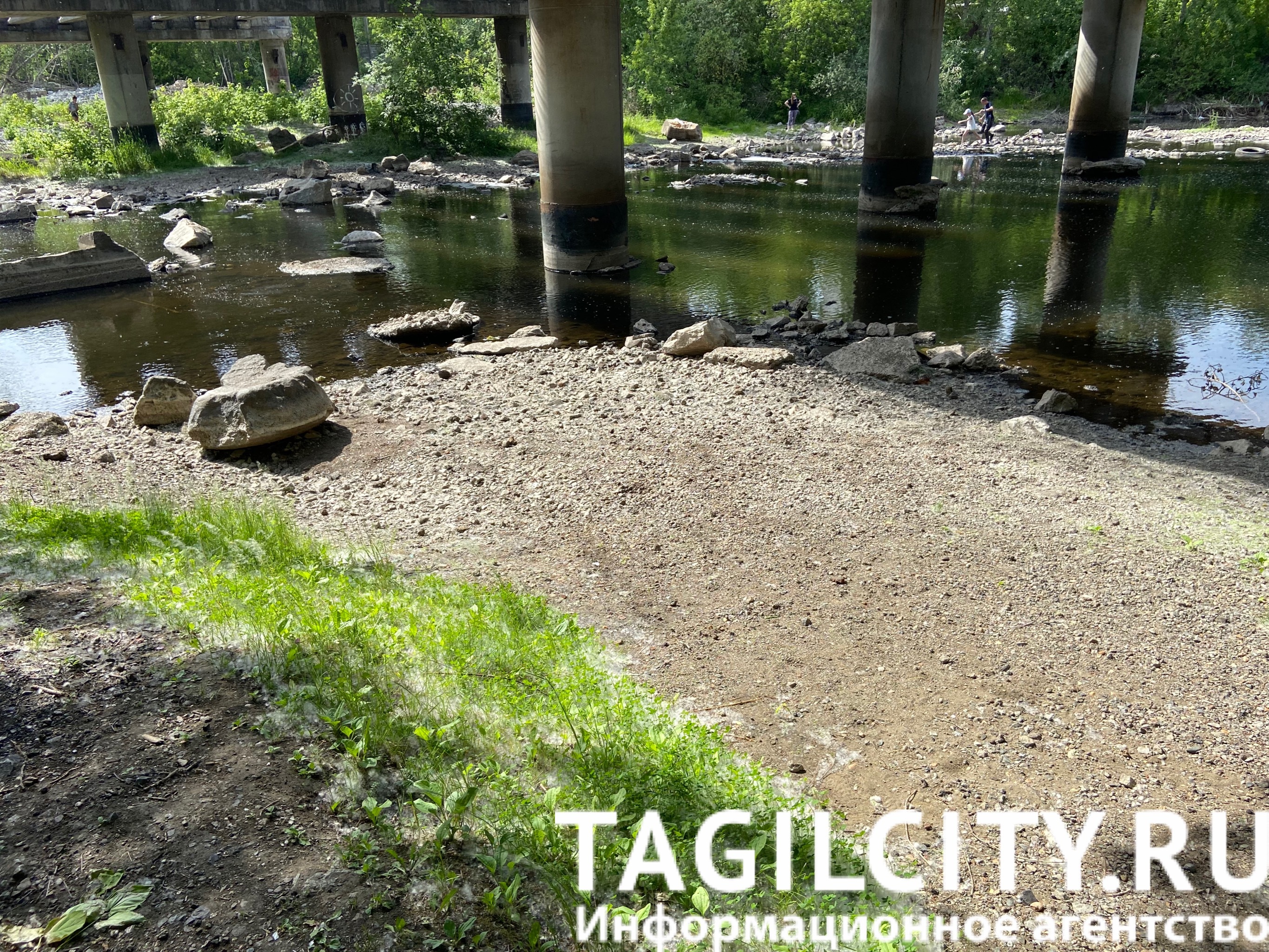 Река Тагил, по следам на берегу видно, что уровень воды значительно снизился. 