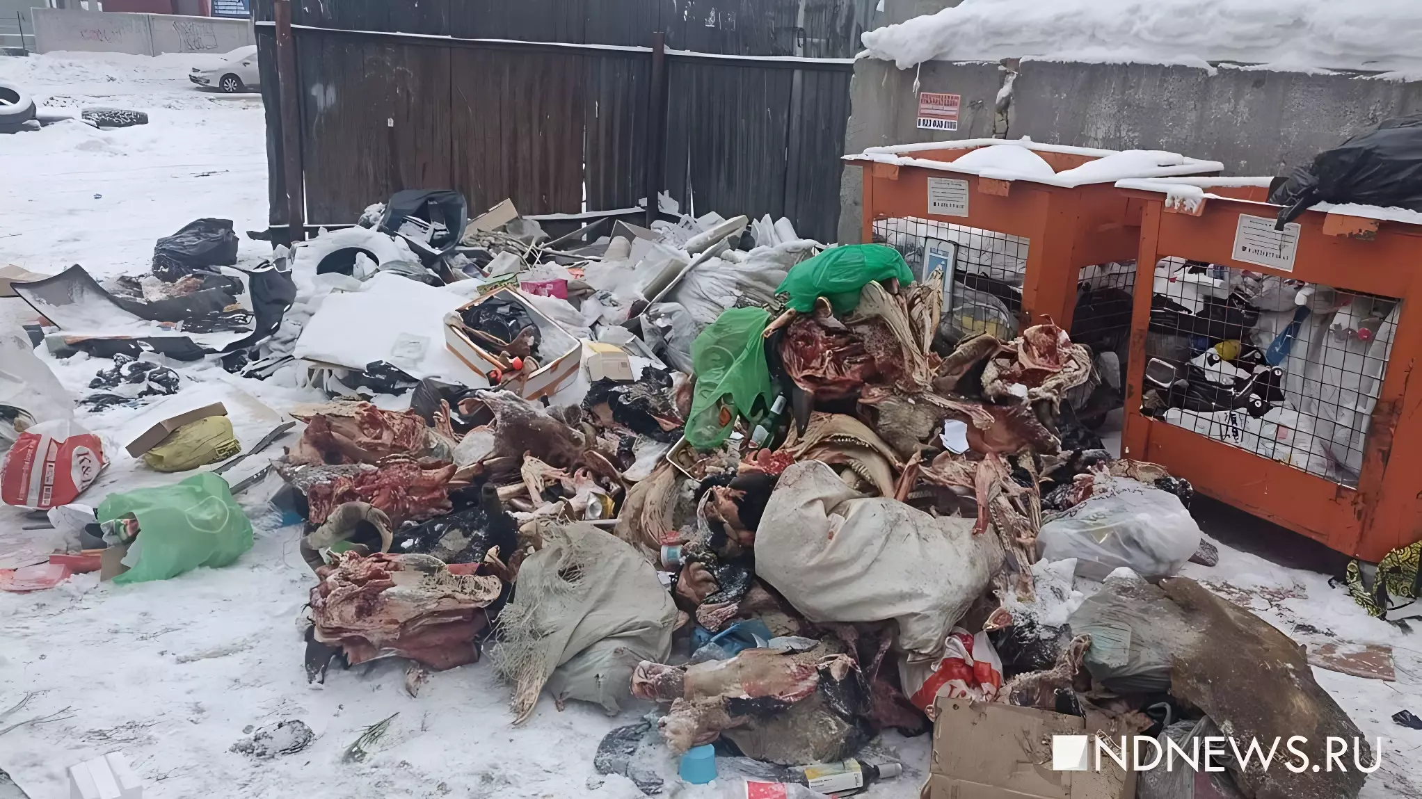 Останки животных разбросаны по детплощадке в Екатеринбурге
