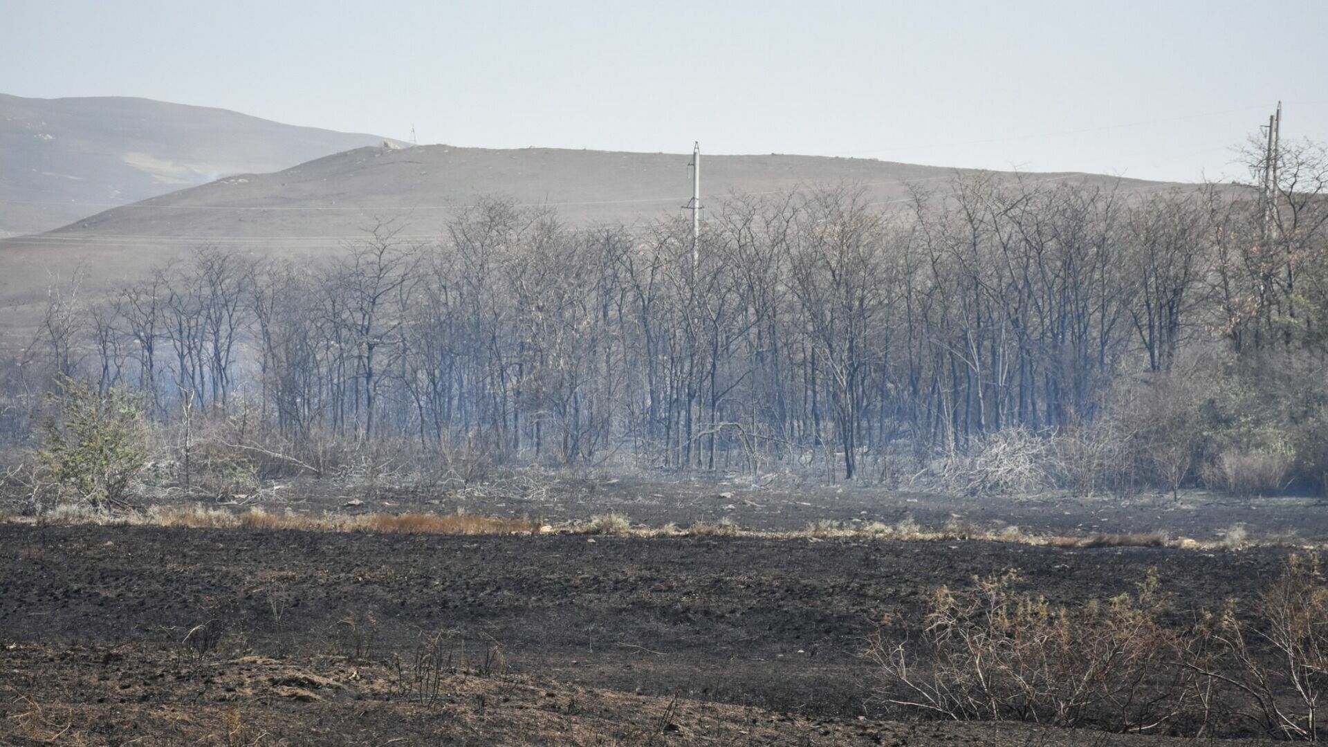 Площадь лесных пожаров в Свердловской области достигла 100 тысяч гектаров