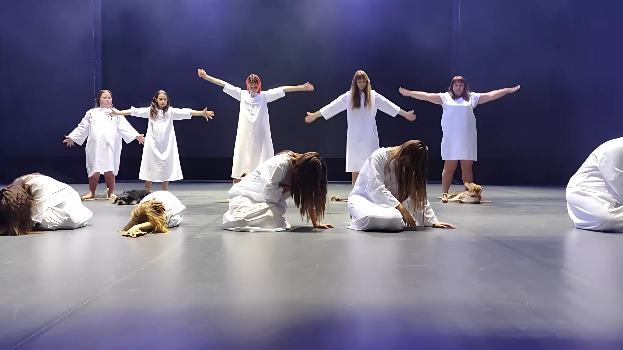 Юные кинологи из Нижнего Тагила привезли в Петербург танцевальное шоу с собаками