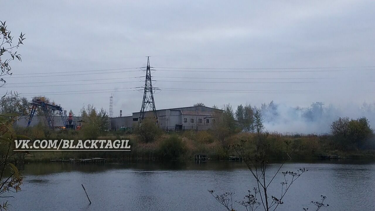 Жители Нижнего Тагила пожаловались на дым от пилорамы в парке за Тагилстроем