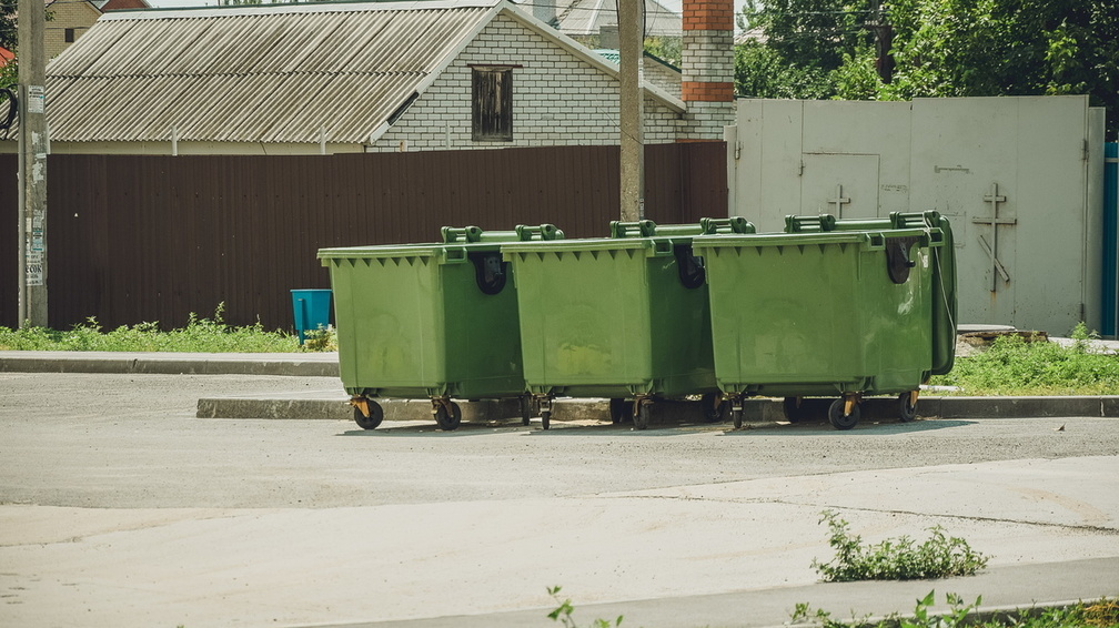 Как стать экологически ответственным жителем: семь фактов о мусоре