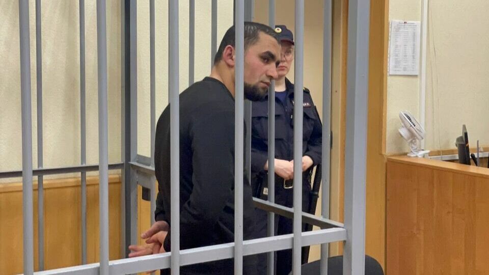 Приговор за жестокое избиение зоозащитницы вынесен в Екатеринбурге