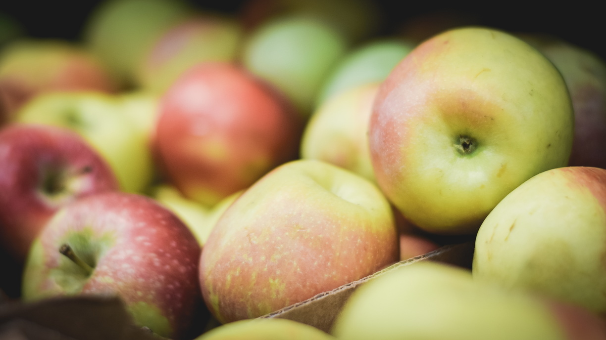 Больше трех тонн яблок принесли екатеринбуржцы в городской зоопарк