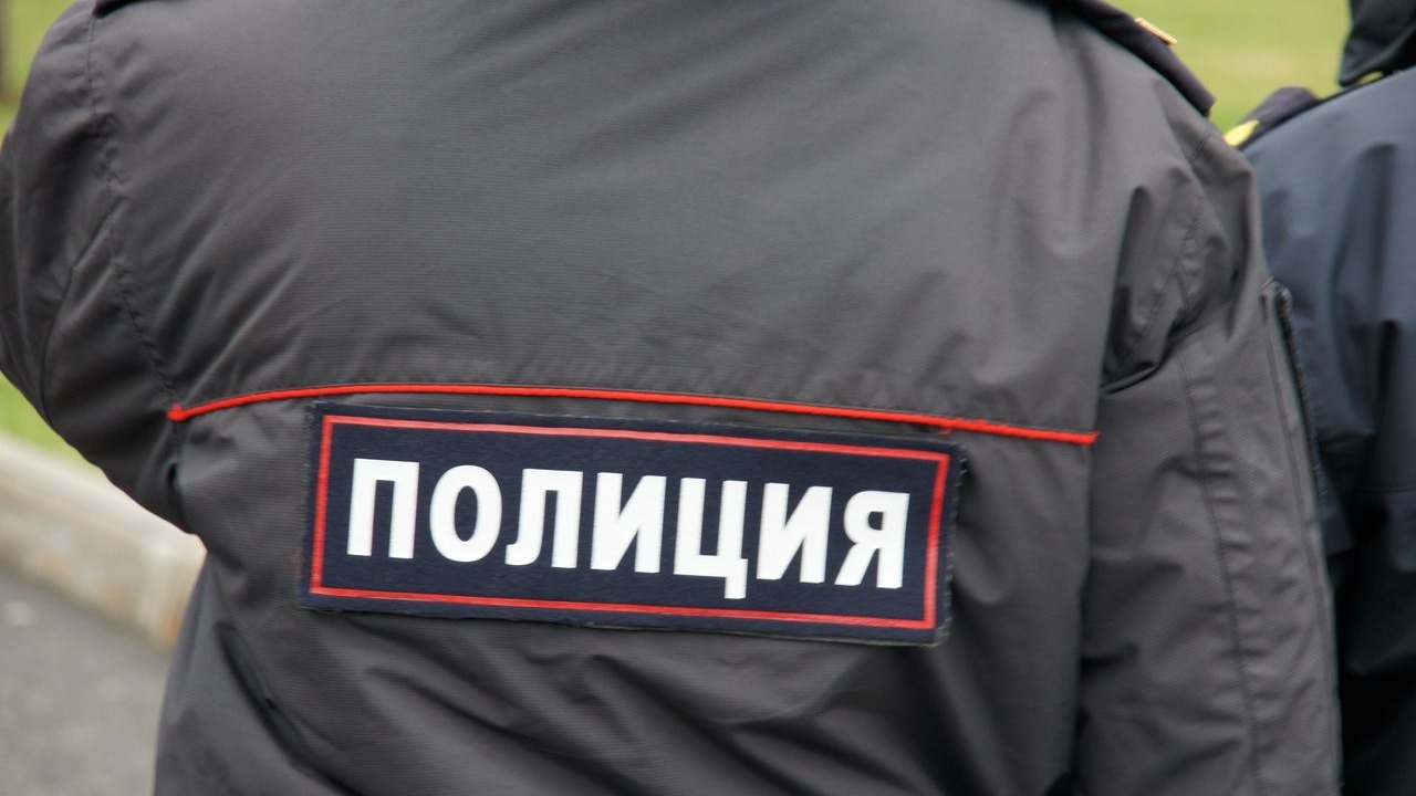 Похитить нескольких детей со двора пыталась девушка в Екатеринбурге