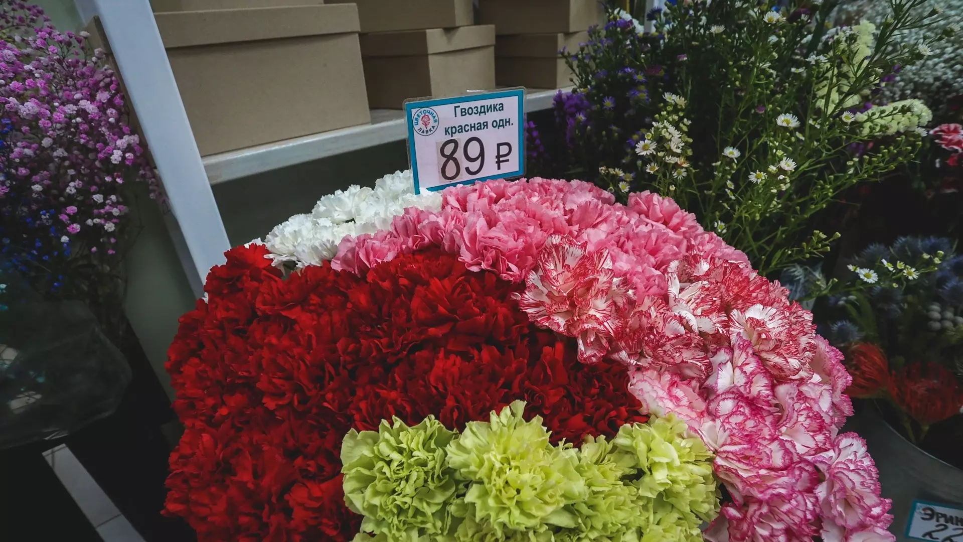 В Екатеринбург прибыли 900 тонн цветов к 8 Марта