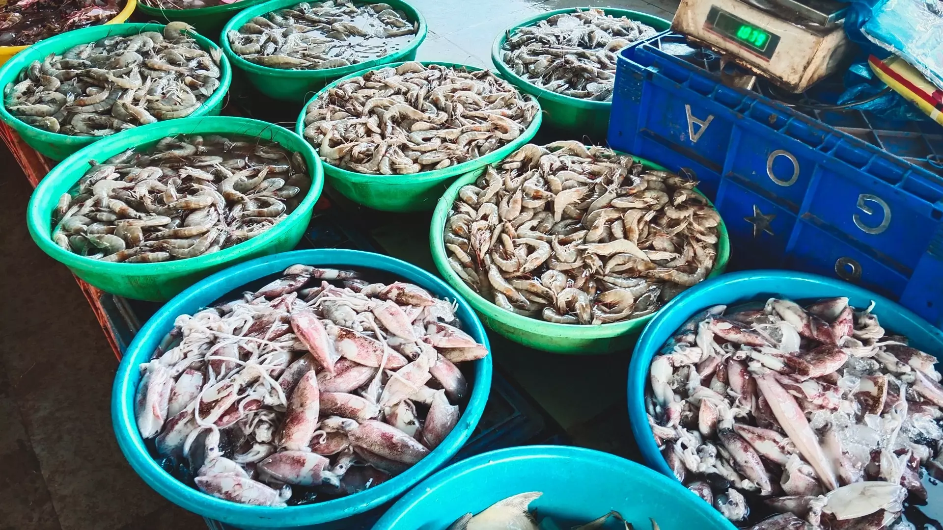 Японские власти считают прекращение поставок рыбы в РФ несправедливым