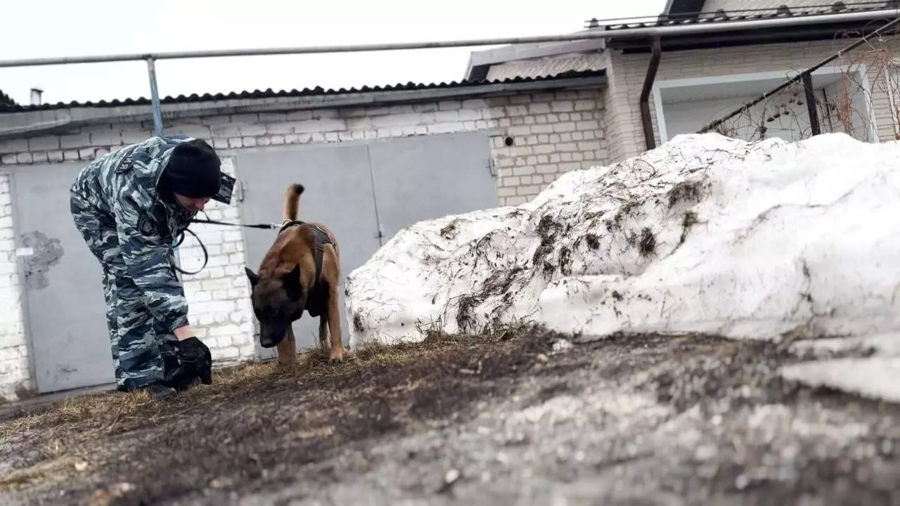 В Каменске-Уральском служебная собака раскрыла убийство