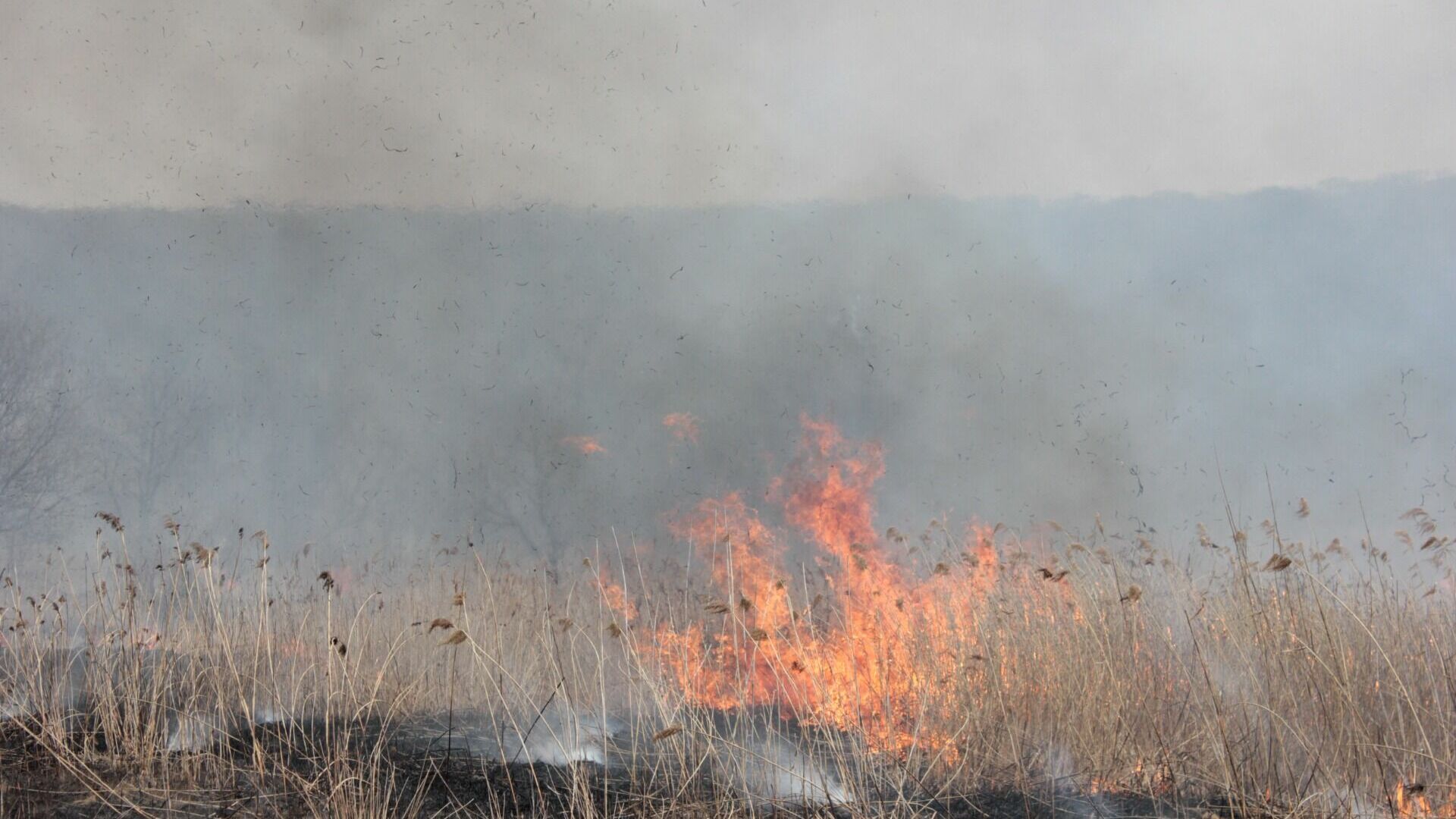 Фейк о сильном пожаре в свердловской деревне распространяется в интернете