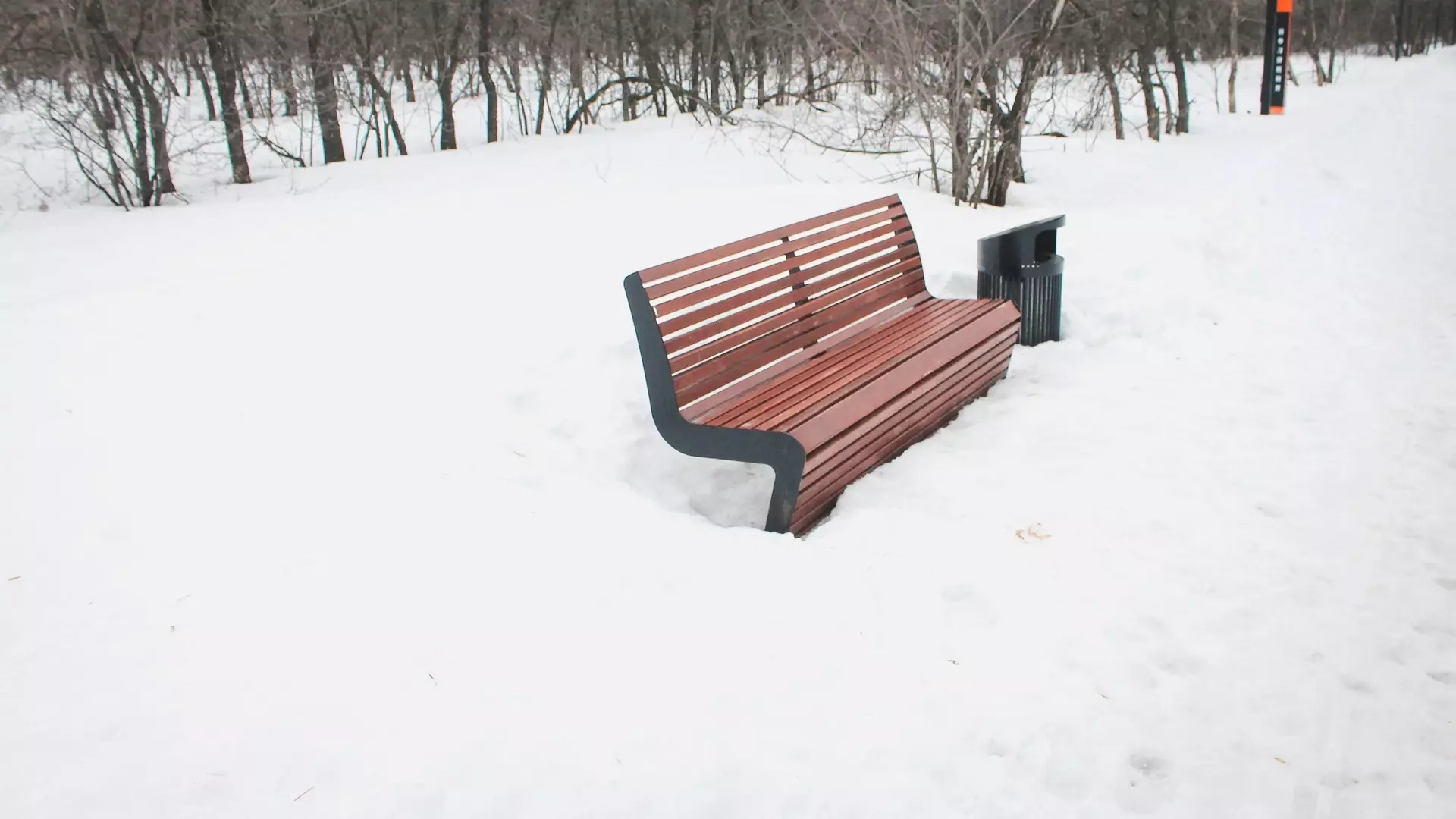 В Екатеринбурге побит снежный рекорд