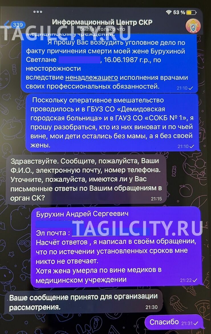 Обращение в СК РФ производится через Telegram-канал