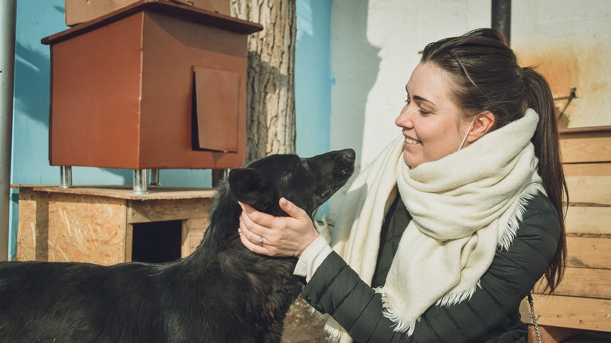 Избитую живодером собаку спасли жители Каменска-Уральского