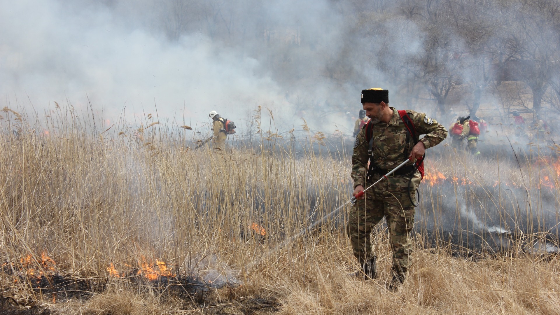 На 200 000 квадратных метров выросла площадь лесных пожаров в Свердловской области