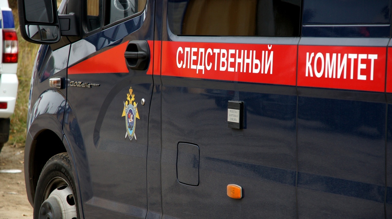 Бастрыкин поручил возбудить дело после избиения девушки и ее матери в Екатеринбурге
