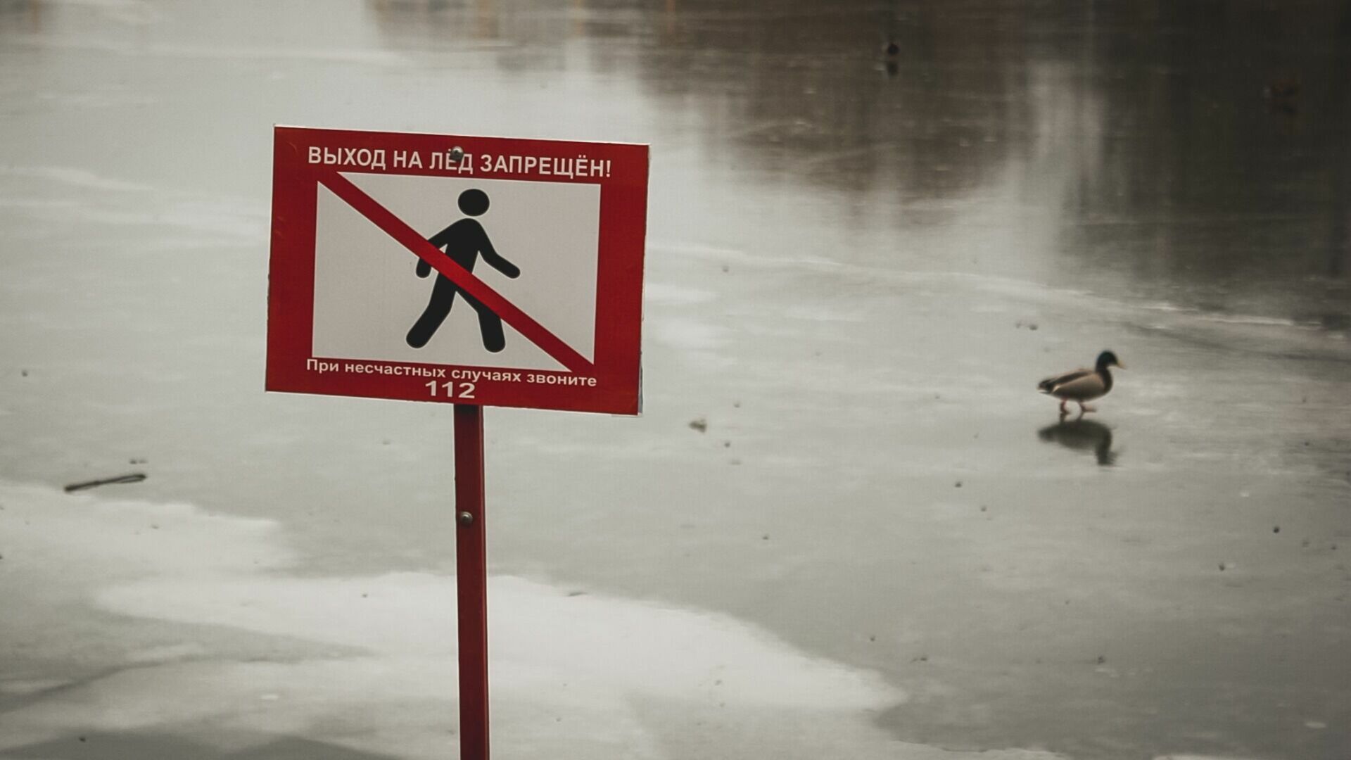 В Верхотурье мальчика унесло на льдине по реке