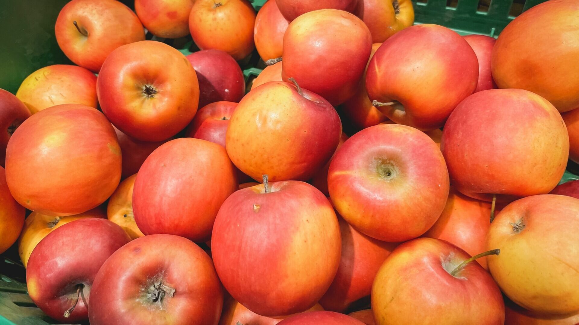 19 тонн зараженных яблок появятся в Екатеринбурге