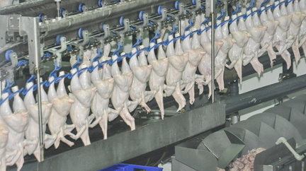 С начала года куриное мясо на 13% подорожало в Свердловской области